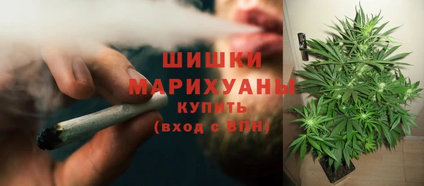 спайс Корсаков