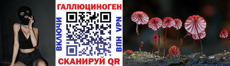 наркошоп  Белокуриха  Псилоцибиновые грибы мицелий 